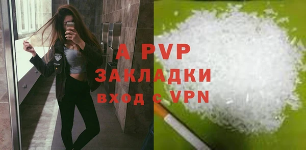 стафф Абаза