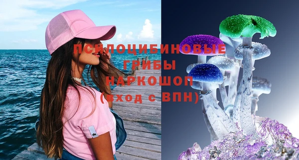 PSILOCYBIN Абинск