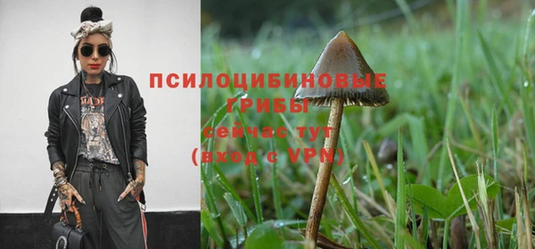 хмурый Ачинск