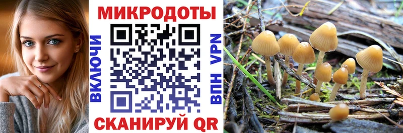 Псилоцибиновые грибы GOLDEN TEACHER  Великий Новгород 